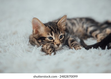 云鼎赌场的游戏攻略:如何在这里赢得更多筹码