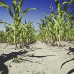 亚虎平台:如何选择适合自己的游戏项目 4zt0m