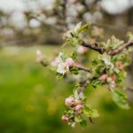 亚虎与可持续发展:企业社会责任的实践与探索 bnv70