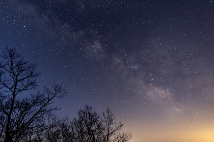 五星娱乐行业的未来:新兴技术与消费者需求的变化