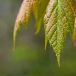 亲身体验澳门喜来登娱乐的奢华住宿与娱乐项目 jget90cu