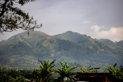 从五湖四海看娱乐文化的多样性与融合